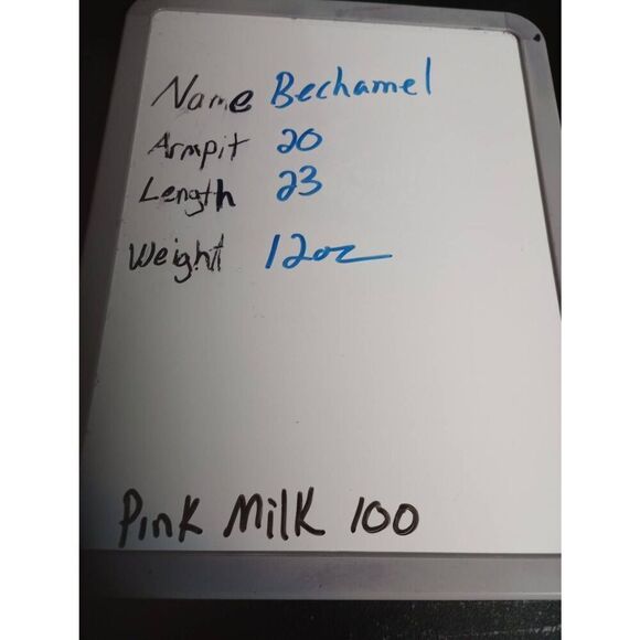 Christmas‎ Shirt Ladies Medium Black Bechamel Cat Christmas Stocking - Picture 6 of 6